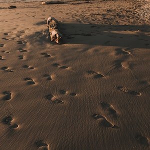 Traveling Sustainably: How to Reduce Your Environmental Footprint While Exploring the World